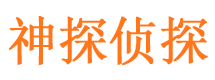 雁江侦探公司